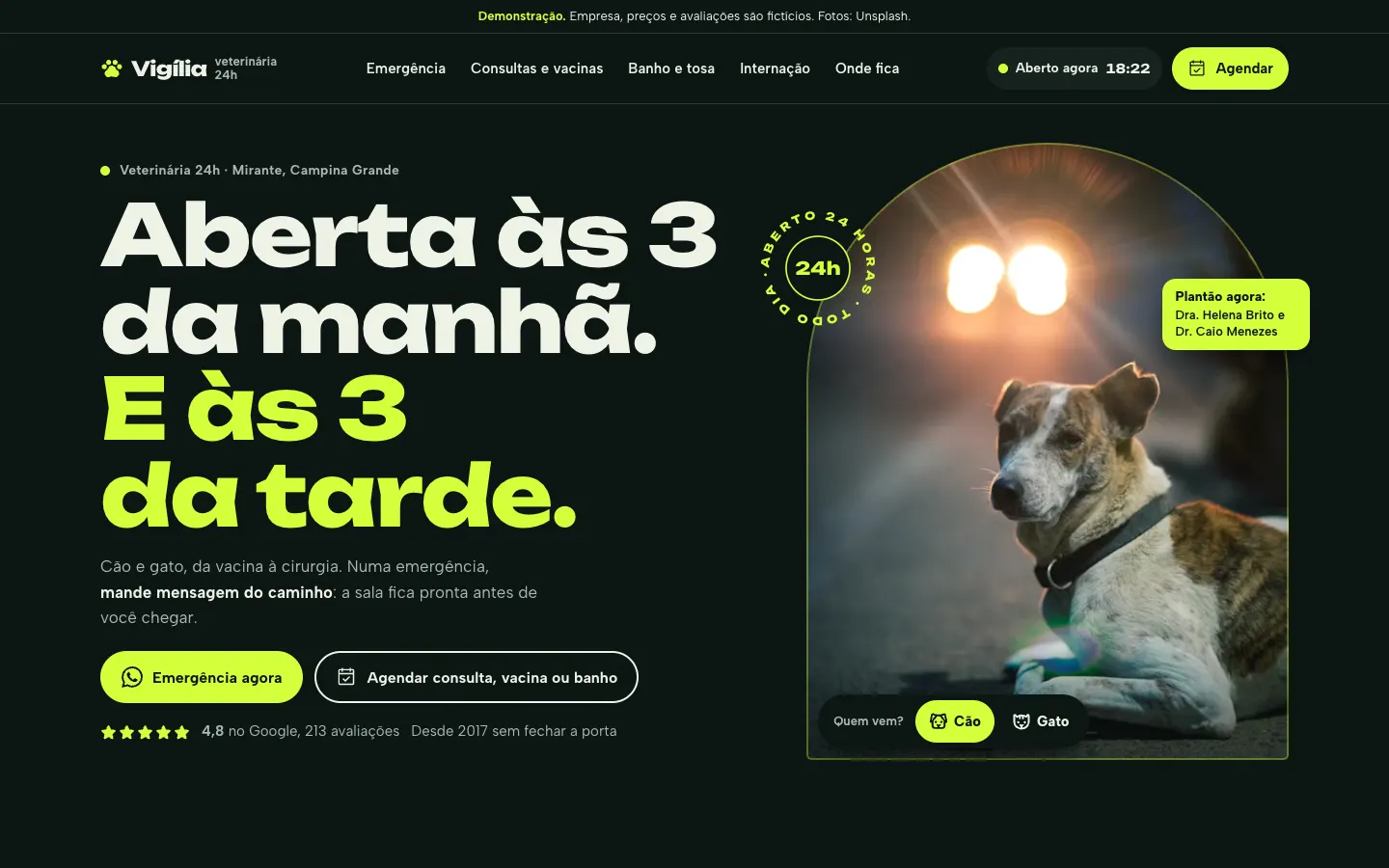 Tela do site de demonstração da Vigília Veterinária 24 horas