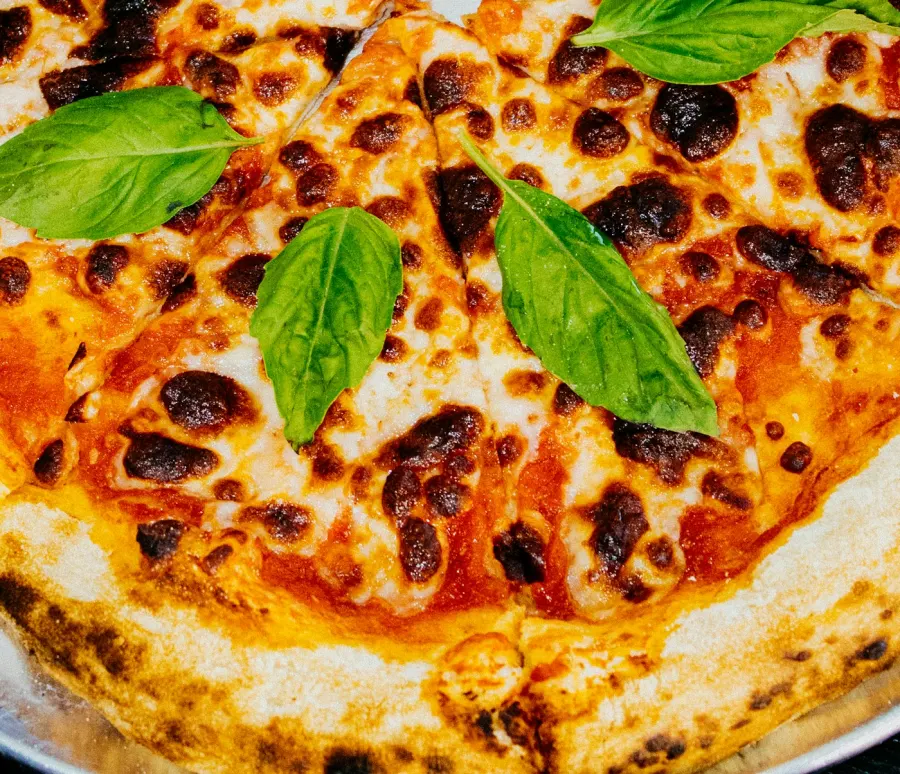 Pizza margherita com o queijo pintado de forno e folhas de manjericão, vista de cima